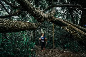 BIB: 
                            <button type="button" onclick="openModal(25705512)" class="btn btn-primary btn-sm float-right btn-popup" data-toggle="modal" data-target=".modal-high-quality">
                        <i class="fas fa-shopping-cart"></i> Add to Cart
                    </button>
                                            <button type="button" onclick="isThisMe(25705512, true)" class="btn btn-success btn-sm float-right btn-popup btn-isme hidden" data-toggle="tooltip" data-placement="bottom" title="นี่คือรูปของคุณใช่ไหม คลิกที่นี่เพื่อเอาเข้าอัลบั้ม">
                        <i class="fas fa-plus"></i> Add to album
                    </button>
                    <button type="button" onclick="isThisMe(25705512, false)" class="btn btn-warning btn-sm float-right btn-popup btn-isnotme hidden">
                        <i class="fas fa-ban"></i> Remove from album
                    </button>